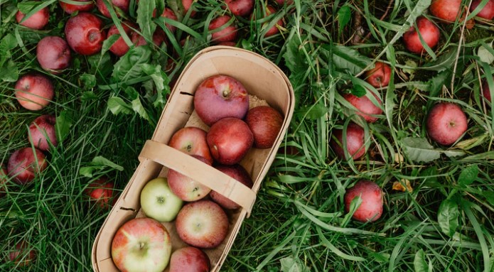 Un nouveau menu décadent pour Labonté de la pomme